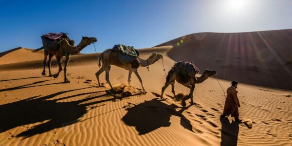 Untitled (2560 x 1709 px) (12) Untitled (2560 x 1709 px) (12)