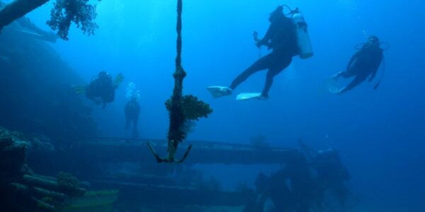 230509174540-saudi-red-sea-diving 230509174540-saudi-red-sea-diving