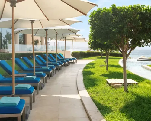 4273b1ddbb3d-75006804_4K-1 4273b1ddbb3d-75006804_4K-1