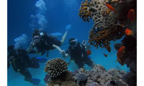 swiming in aqaba Tailor-made luxury Jordan tours crafted for individual travellers