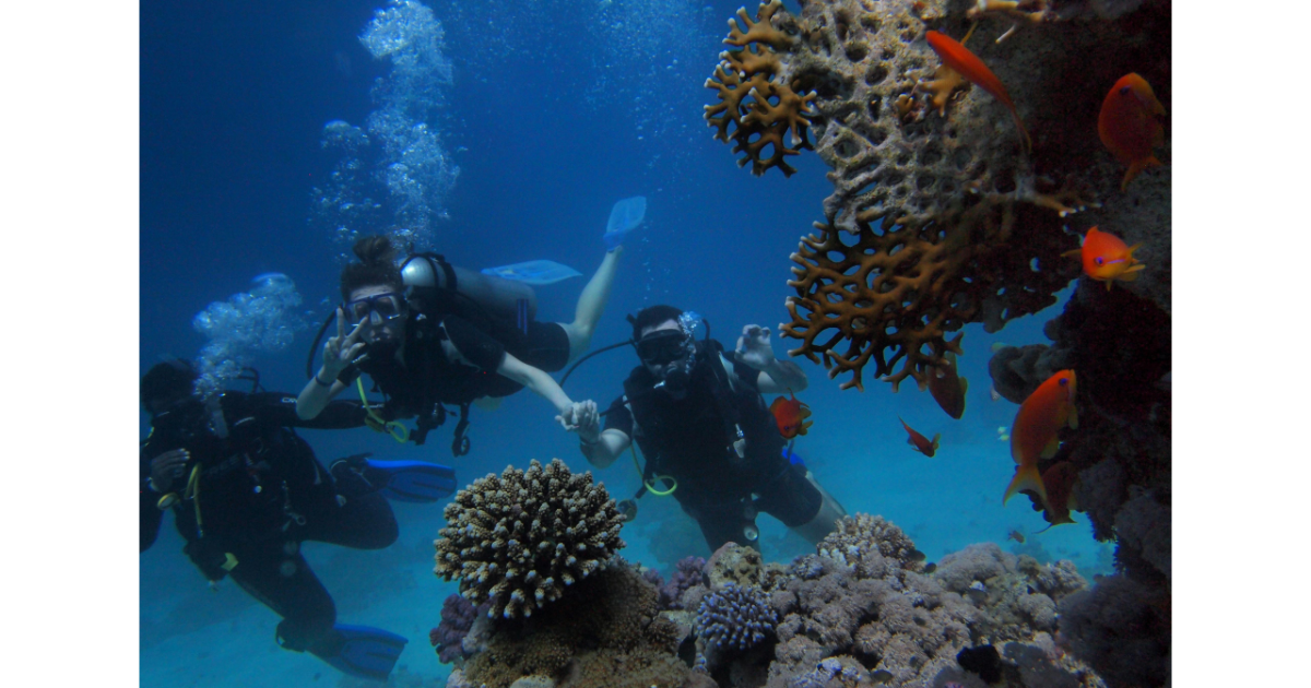 swiming in aqaba Tailor-made luxury Jordan tours crafted for individual travellers