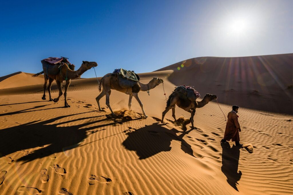 Discover Jordan on your terms, with a Journey crafted entirely around your personal desires.
Explore Jordan for between four and eight days in unmatched comfort with our private, bespoke Journeys in Jordan. Designed for discerning travellers seeking exclusive experiences, our tailor-made Journeys offer a unique way to uncover the beauty and history of Jordan.