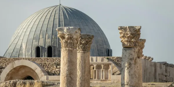 pexels-mike-van-schoonderwalt-1884800-5484815-scaled pexels-mike-van-schoonderwalt-1884800-5484815-scaled